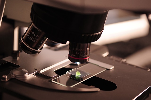 tips for scientific translations