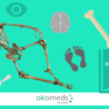 Medical translator and single? Latest medical studies by Okomeds